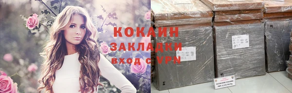 шишки Абинск