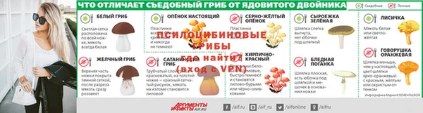шишки Кулебаки