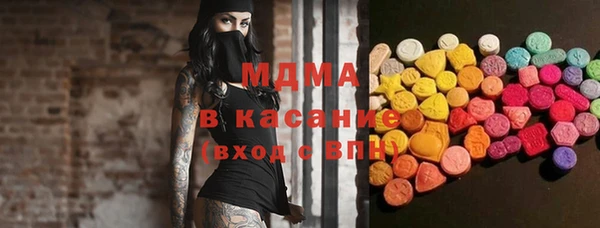хмурый Абаза