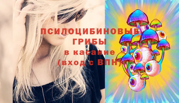 шишки Абинск