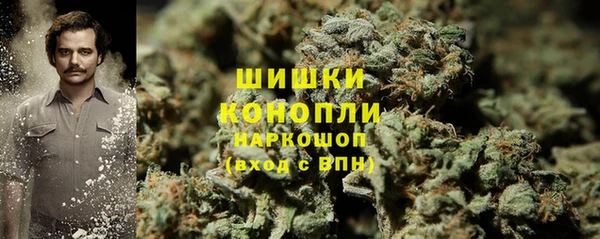 хмурый Абаза